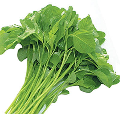 AMARANTHUS Green -100Gms (Thotakura)