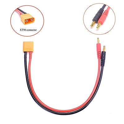 AMASS XT60 to Banana Plug Charge Cable