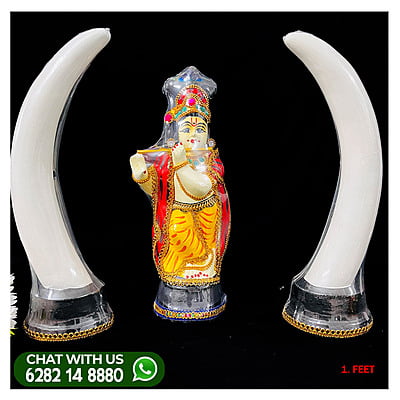 ANAKOMB-WITH-UNNIKANAN- 1 feet