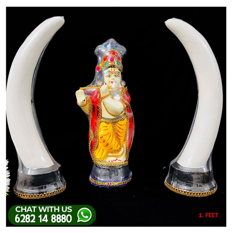 ANAKOMB-WITH-UNNIKANAN- 1 feet