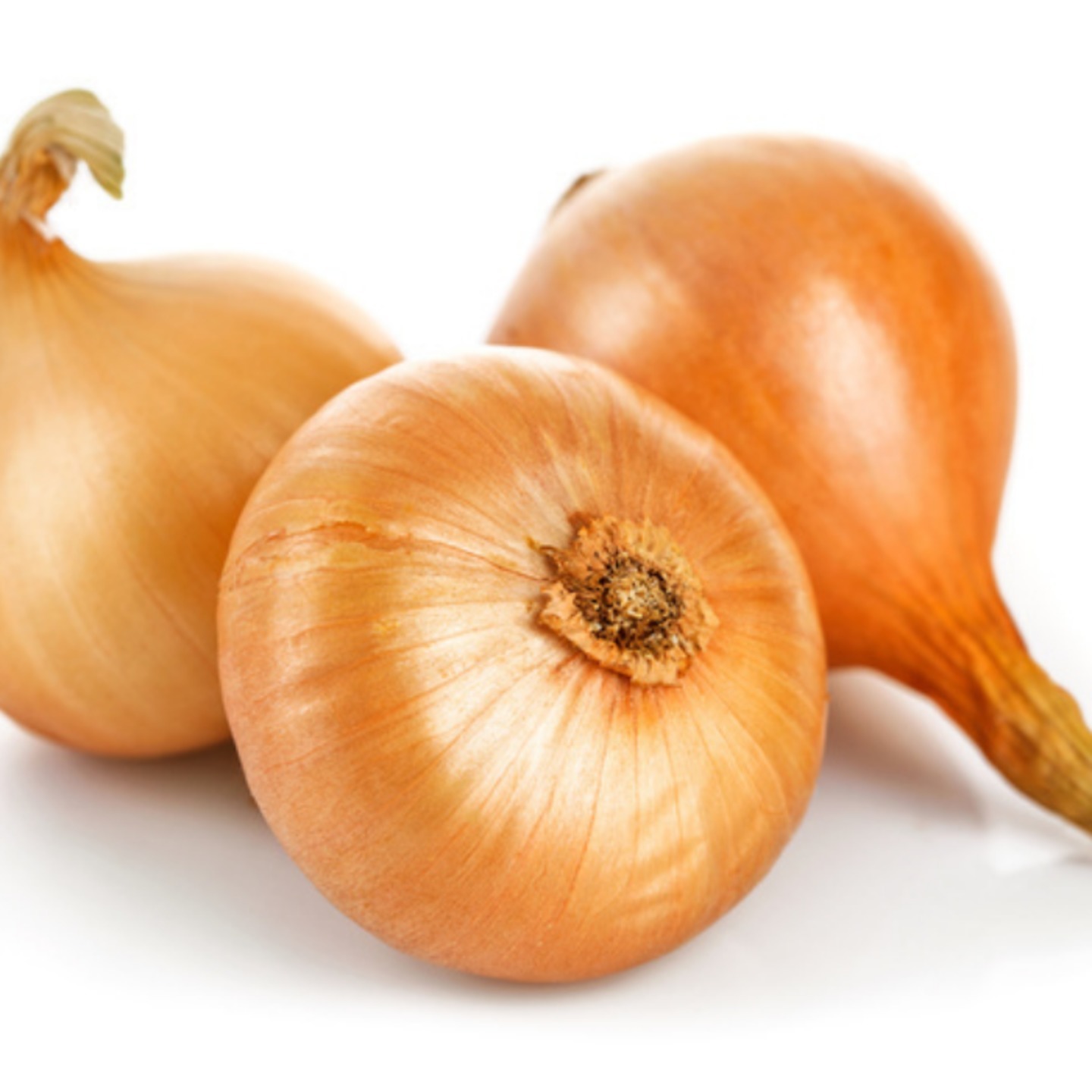 Onion 15 to 18 seeds