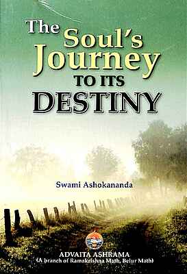 The Soul's Journey to Its Destiny