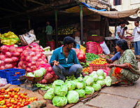 Farm-to-Mandi Direct Transport Service