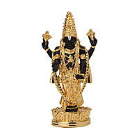 Standing Balaji Frame