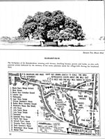 Sri Ramakrishna: A Biography in Pictures Sri Ramakrishna: A Biography in Pictures