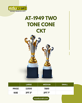 AT-1949 TWO TONE CONE CKT NO:3 3FT 3"