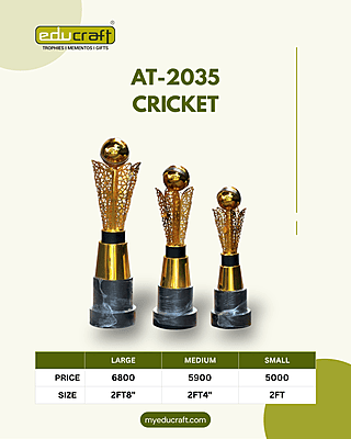 AT-2035 CRICKET No:3 2FT8"