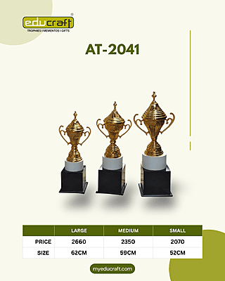 AT-2041 SS MINI CUP GOLD No:2 59CM