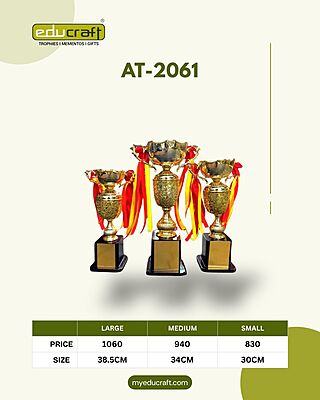 AT-2061 TROPHY NO:3 38.50CM