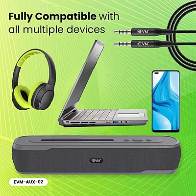 CABLE EVM AUX 3.5MM MALE TO MALE AUX-02