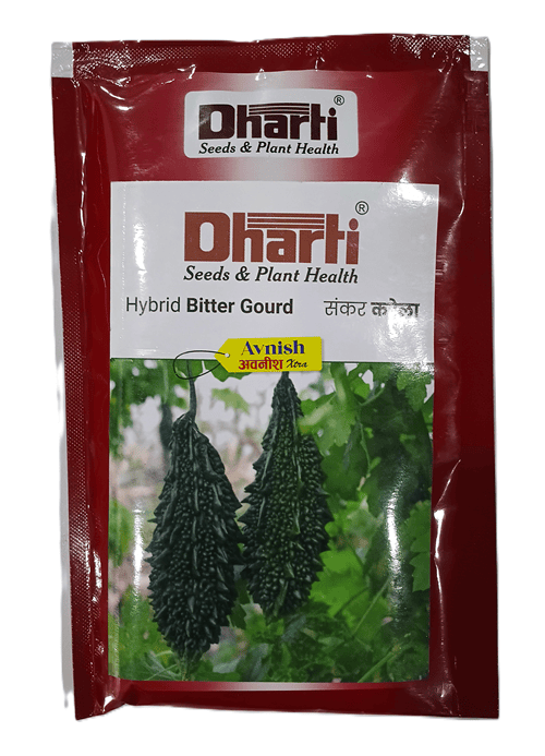 AVNISH XTRA HYBRID BITTER GOURD