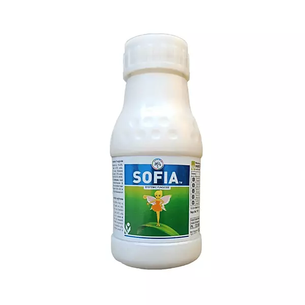 Sofia Hexaconazole 4% + Carbendazim 16% Sc-(Insecticides (india) Ltd)