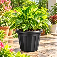 8 Inch Nursery Pot | ECSHA