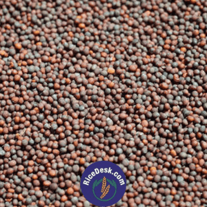 Aavalu | Mustard Seeds Aavalu | Mustard Seeds