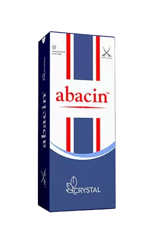 Abacin by Crystal