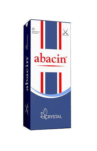 Abacin by Crystal