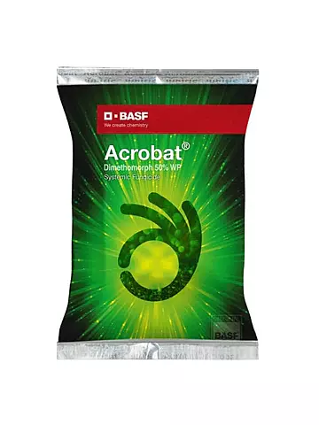 Acrobat Fungicide – Dimethomorph 50% WP for Downy Mildew & Late Blight Control(BASF)