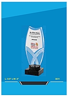 Acrylic Trophies NB
