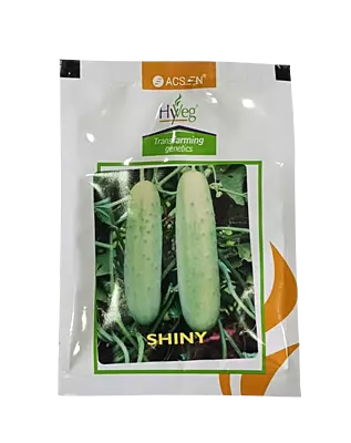 Acsen Hyveg Shiny Cucumber F1-25gm