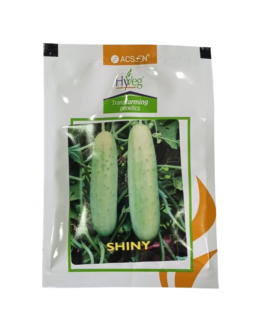Acsen Hyveg Shiny Cucumber F1-25gm
