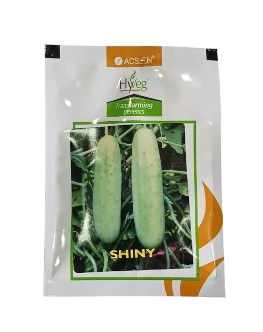 Acsen Hyveg Shiny Cucumber F1-25gm