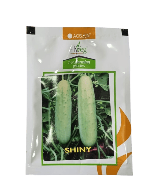 Acsen Hyveg Shiny Cucumber F1-25gm