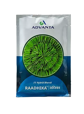 Advanta Bhindi Radhika