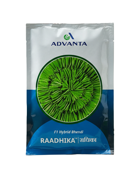 Advanta Bhindi Radhika