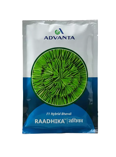 Advanta Bhindi Radhika