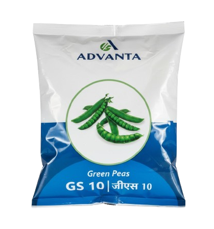 GS 10 Green Peas by Advanta