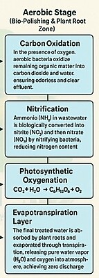 Bio STP Ergon Bio Evaporation Tank 6'25 ft