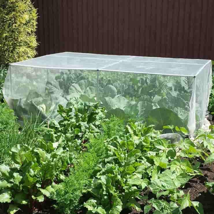 Insect net for pollination large size 8L x 3W x 6H Feet