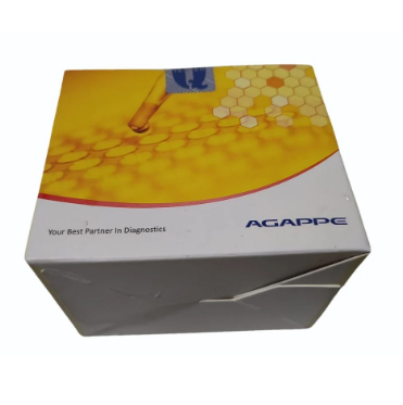 Agappe Uric Acid (S.L) (2*30ml)