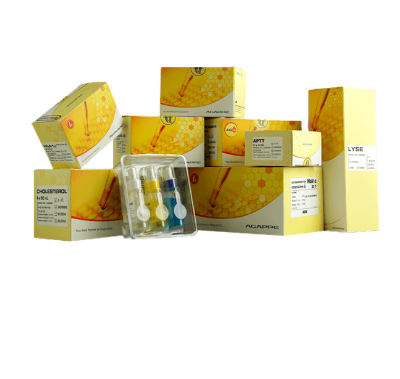 Agappe Glucose (S.L) (5*100ml)
