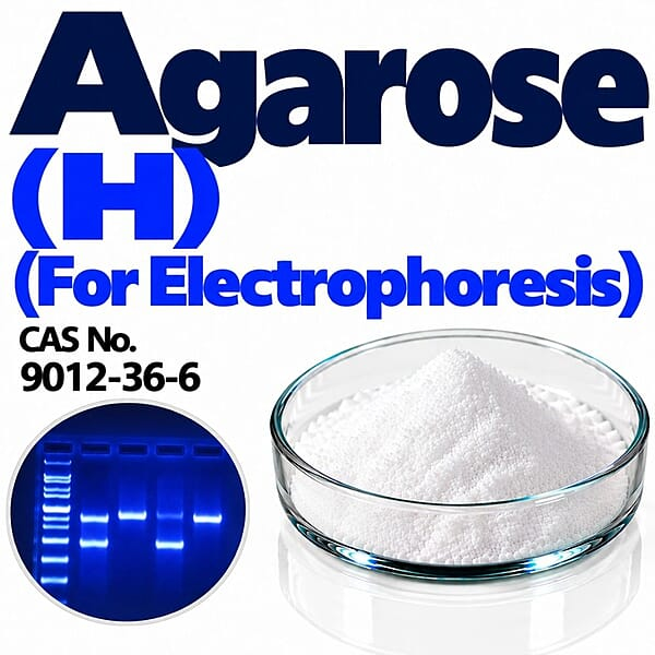 Agarose (H) (For Electrophoresis) / CAS 9012-36-6