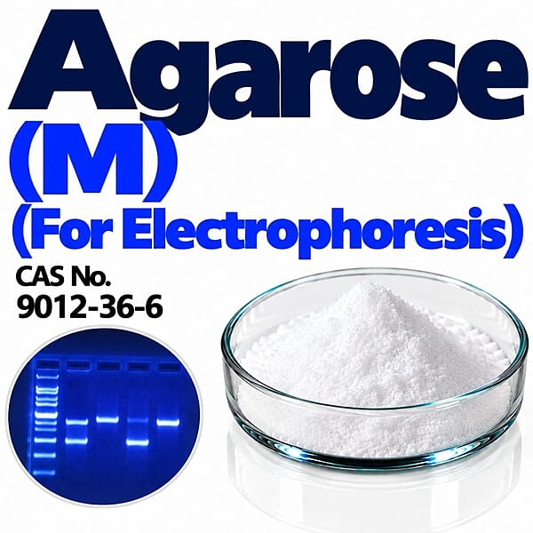 Agarose (M) (For Electrophoresis) / CAS 9012-36-6