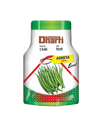 Hybrid Chilli Agneya by Dharti Seeds
