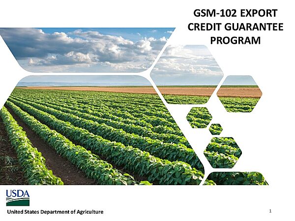 Agri Export Credit Guarantee