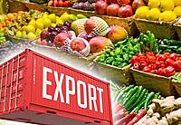 Agri Export Container Freight Marketplace
