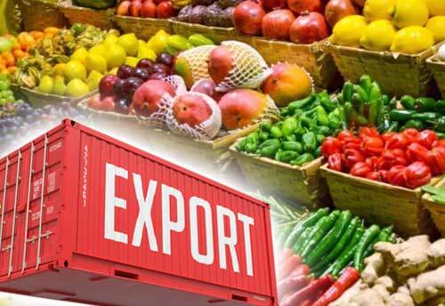 Agri Export Container Freight Marketplace