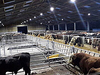 LED & Efficient Lighting Retrofit for Farms & Warehouses
