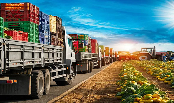 Agri Export Logistics Service