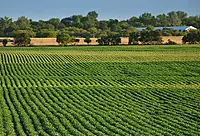 Carbon Credit Project Development for Farmers