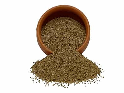 Organic Ajwain Organic Ajwain