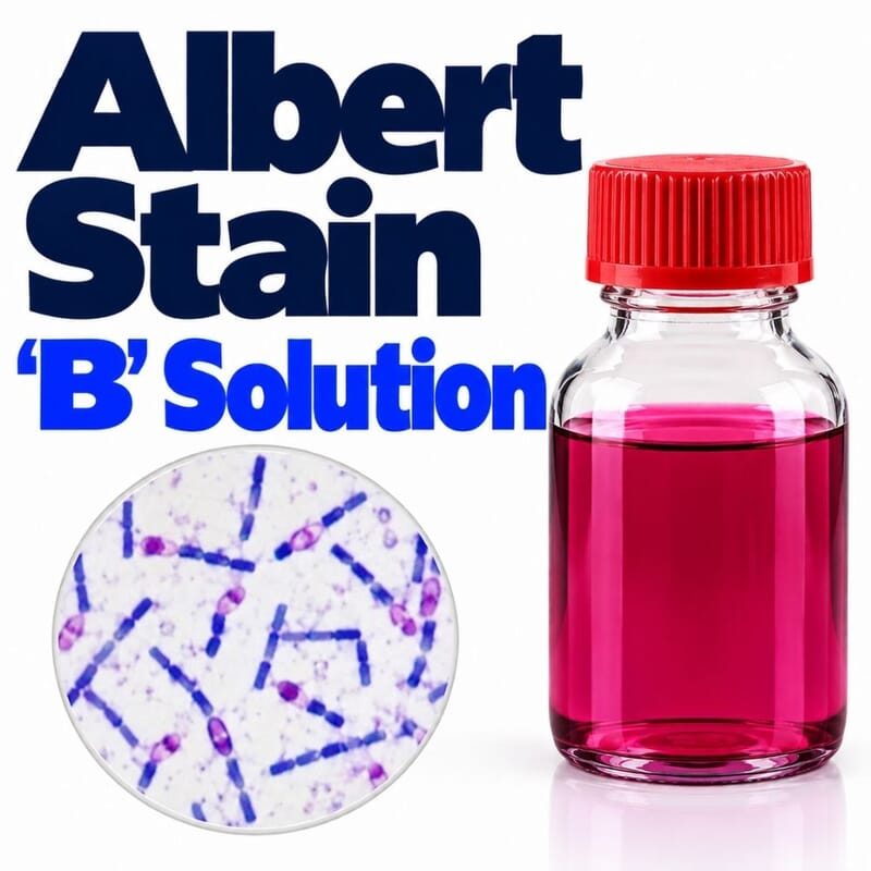 Albert Stain ‘B’ Solution