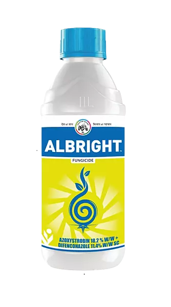 ALBRIGHT by Insecticides India