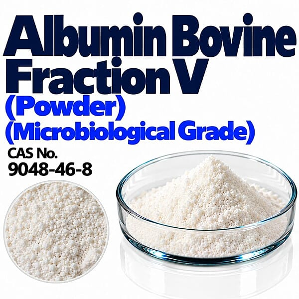 Albumin Bovine Fraction V (Powder) (Microbiological Grade) / CAS 9048-46-8