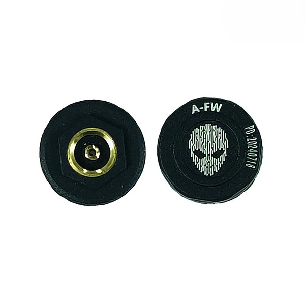 AlienRider External TPMS