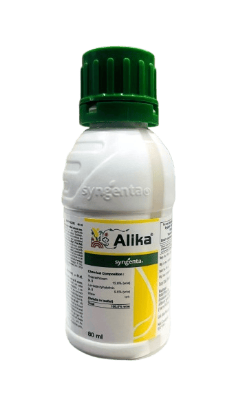 Alika by Syngenta