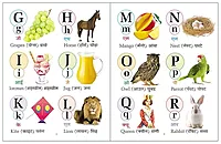 All In One- English-Marathi
